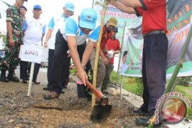 Pemkab HST Tanam 500 Pohon 