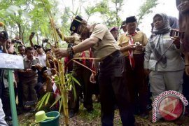 Dishut Sulsel Tanam 13,4 Ribu Rumpun Bambu 