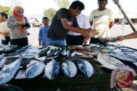 HARGA IKAN MULAI TURUN Page 1 Small