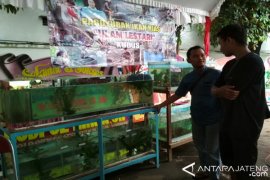 Hujan, Tangkapan Ikan Nelayan Jembrana Turun