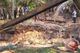  Lahan Rusak Akibat Tambang Ilegal