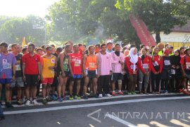 Sejumlah Pelari Nasional Ikut Jajal Rute Jenderal Sudirman (Video)
