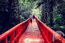 Hutan Pelawan Namang Dilengkapi Fasilitas "Camping Ground"