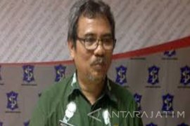 Surabaya Gunakan Teknologi Larva Kurangi Sampah Organik