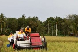 Gubri Ambil Bagian Dalam Panen Raya Di Bengkalis