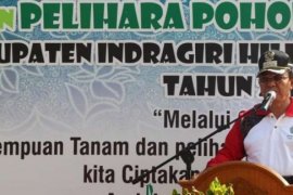 Jalan Baharuddin Yusuf Menjadi Lokasi Program Penghijauan