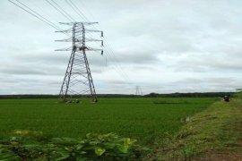 PLN Lampung Perbaiki Gangguan Transmisi