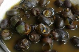 Polres Cimahi Bongkar Modus Sabu dalam Cangkang Tutut di Lembang Bandung Barat