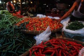 Wow... Harga Cabai Di Bengkalis Tembus Rp60 Ribu Per Kilogamnya