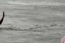  Pelaku Penipuan Loncat ke Sungai Kampar Hindari Persekusi Ditemukan Tewas