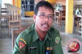 Persediaan Beras Penajam Mencapai 25.000 Ton