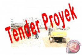 Agam is Auctioning 10 Work Packages Through LPSE