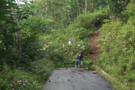 Potensi angin kencang, warga diimbau pangkas pohon rawan tumbang