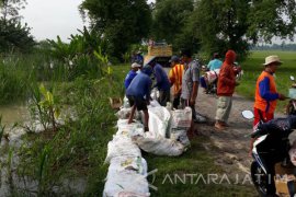 Sejumlah Petani Kanor Bojonegoro Panen Paksa Padi