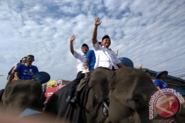 PILGUB LAMPUNG - Pawai budaya warnai pendaftaran Mustafa-Jajuli ke KPU