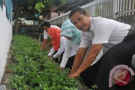 Pemerintah Bangka ajak masyarakat terapkan pangan lestari 