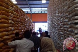 Bulog Kolaka Siapkan 100 Ton Beras OP