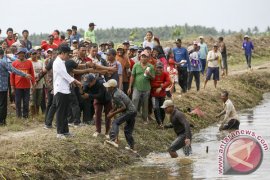 Presiden Tinjau Desa Padat Karya Tunai Banyuasin Page 1 Small