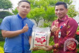 Pemuda Tani Kotim Tolak Impor Beras
