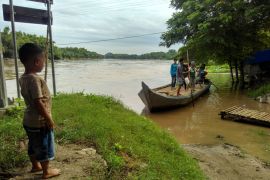 Bojonegoro Siaga Banjir Bengawan Solo (Video)