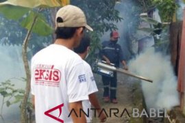 Tim Berkibar giat berantas nyamuk