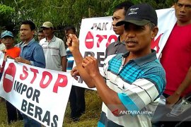 Pemerintah Harus Tinjau Ulang Impor Beras (Video)