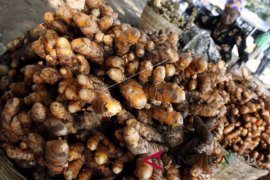 Kandungan kurkumin dalam kunyit bagus untuk daya ingat