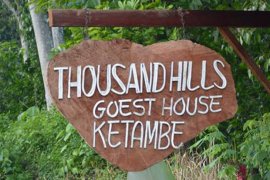 Persaingan penginapan wisman tak sehat di Ketambe, Aceh Tenggara