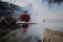 Dinkes Bangkalan Tangani 31 Kasus Demam Berdarah