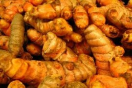 Daya Ingat Menurun? Sifat-Sifat Kunyit Ini Bisa jadi Solusi