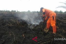 Sembilan titik panas terdeteksi di Riau