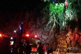 Lahan di Gunung Panjupian terbakar