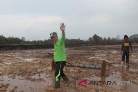 Penanaman padi dan jagung Kementan digelar serentak