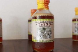 PTPN V Dorong Manisnya Bisnis Madu Suardi