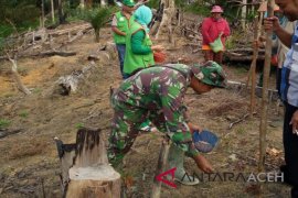 TNI bantu petani Singkil tanam kedelai