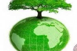  Pohon yang Ditanam Walikota Pekanbaru dan Solok saat Muskomwil Apeksi