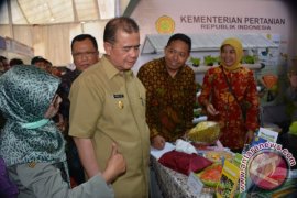 Pesisir Selatan juara stan masakan tradisional Minangkabau Summit