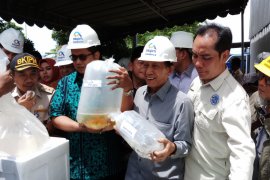 DPR RI Mendorong Pengembangan Instalasi BKIPM (Video)