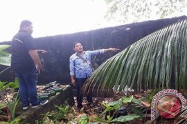 DLH Sitaro Tegur PLTD Paniki  Diduga Cemarkan Lingkungan