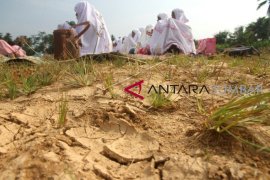 Warga Aceh Utara berdoa tujuh malam minta hujan
