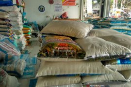 Harga Beras Panenan Baru di Bojonegoro Turun