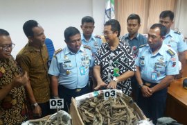 Lanud Pattimura amankan gaharu dan tanduk rusa