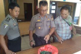 Pekerja bangunan di Jayapura temukan granat peninggalan PD II