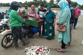 DKP Mukomuko bangun dua tempat pelelangan ikan