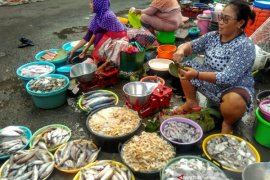 Harga Ikan Laut di Bojonegoro Masih Stabil Tinggi