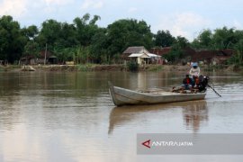 Belasan Rumah di Dekat Bengawan Solo Bojonegoro Rawan Longsor (Video)