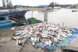 Masyarakat Singkil minta  Pemkab  aktifkan  TPI