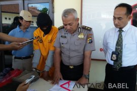 Polda Babel tangkap 11 pelaku tindak pidana