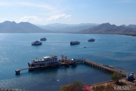 Pelni provides four ships in Batulicin