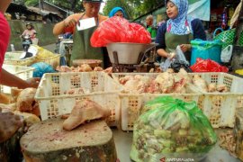 Daging Ayam di  Bojonegoro Turun Rp2.000